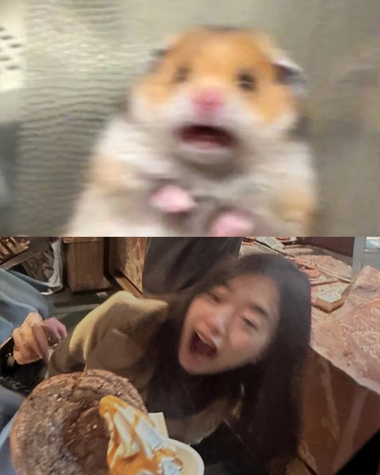 Christy Chan